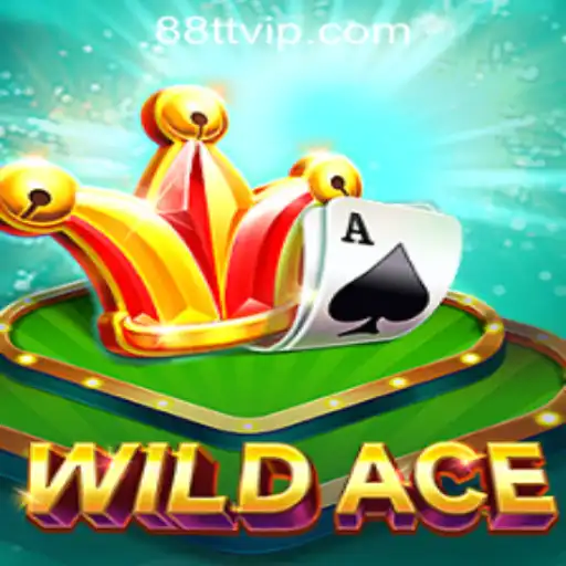 Enter the Thrilling World of WildAce: A Premier Casino Game Experience